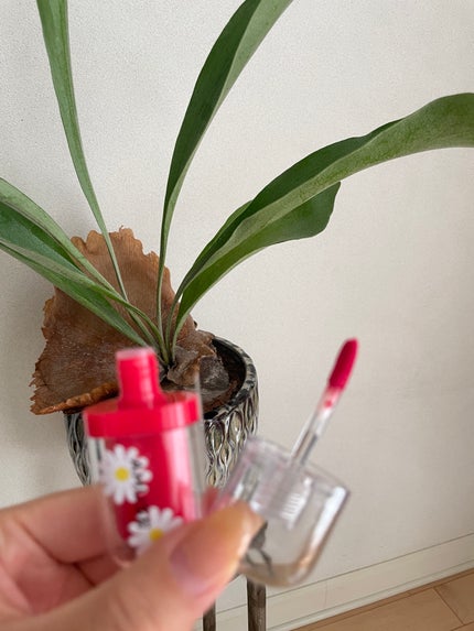 垢抜けにゃん(コスメ/ダイエット備忘録) on LIPS 「アミューズジェルフィットティントむっちりくちびる作りたい時にお..」(2枚目)