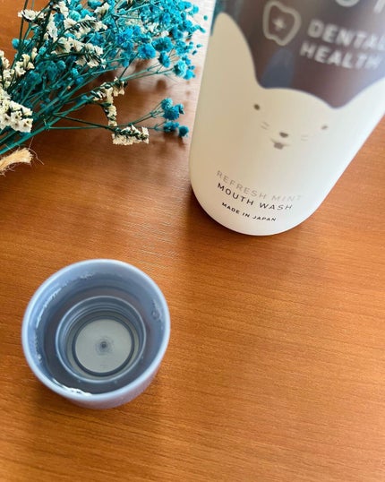 ホワイトマウス デンタルヘルス トゥースペースト マイルドソルティミント/ホワイトマウス/歯磨き粉を使ったクチコミ(3枚目)