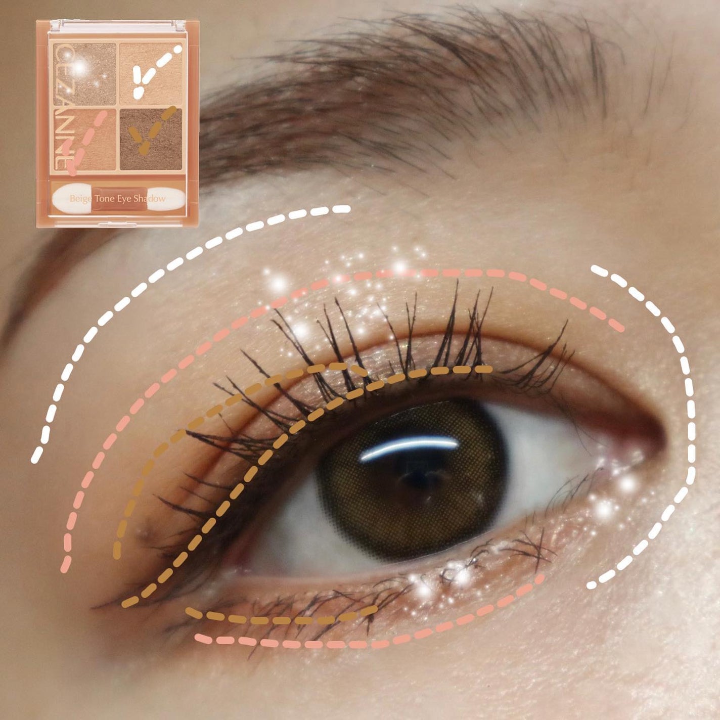 ベージュトーンアイシャドウ/CEZANNE/アイシャドウパレットを使ったクチコミ(6枚目)