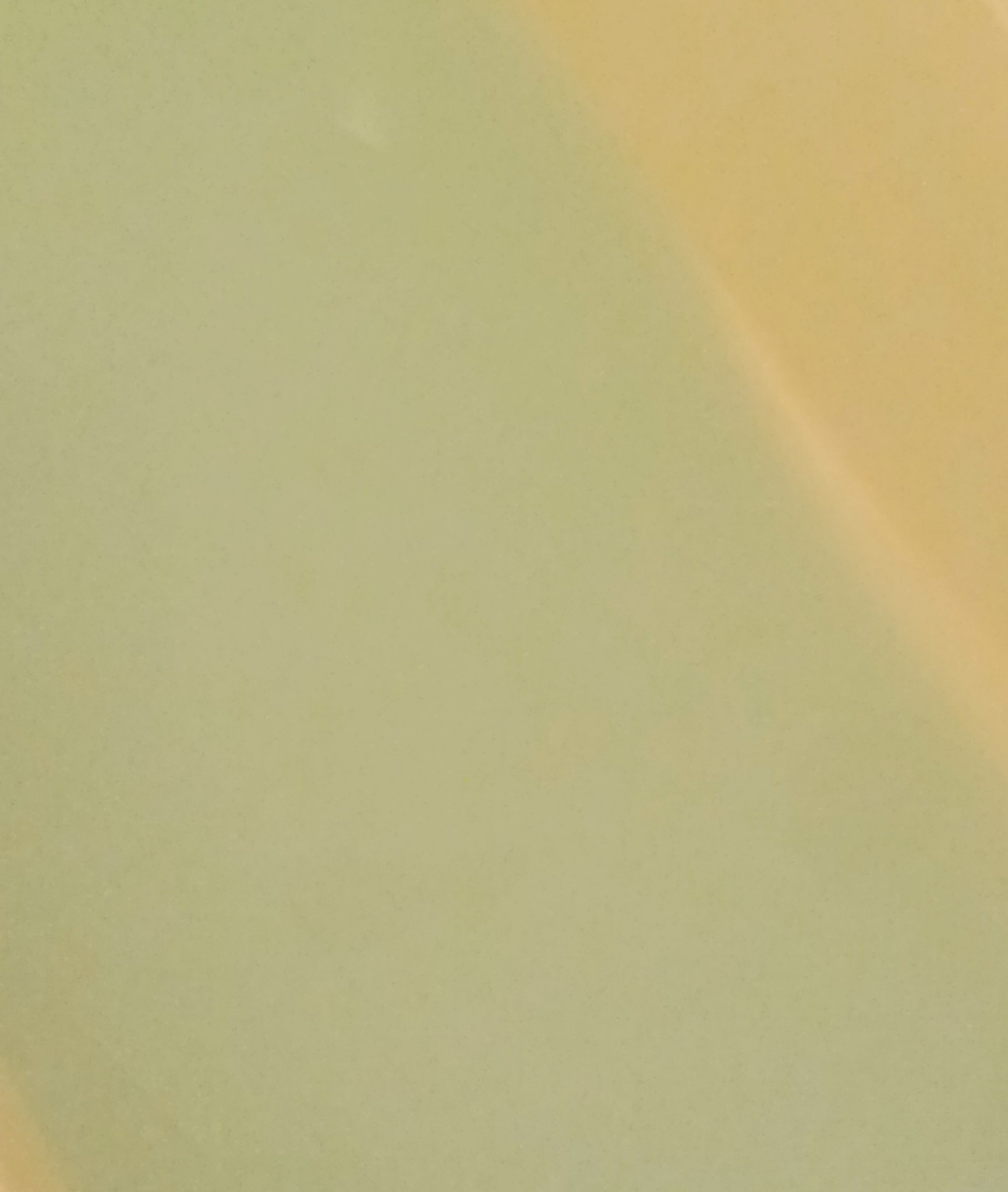 フレモ バスパウダー グレイスサンダルウッド/FLEMO/無機塩系入浴剤を使ったクチコミ（2枚目）