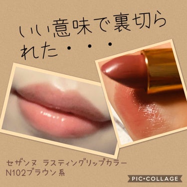 ブラウンリップ初心者さんにもおすすめ

         ━━━━━━━━━━━━━━━

〰️紹介する商品〰️

🍅セザンヌラスティングリップカラーN 
102ブラウン系   450円+税

    