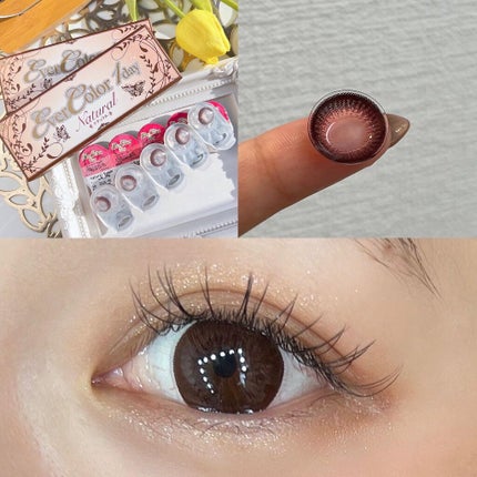 エバーカラーワンデー ナチュラル/エバーカラー/ワンデー(1DAY)カラコンを使ったクチコミ(3枚目)