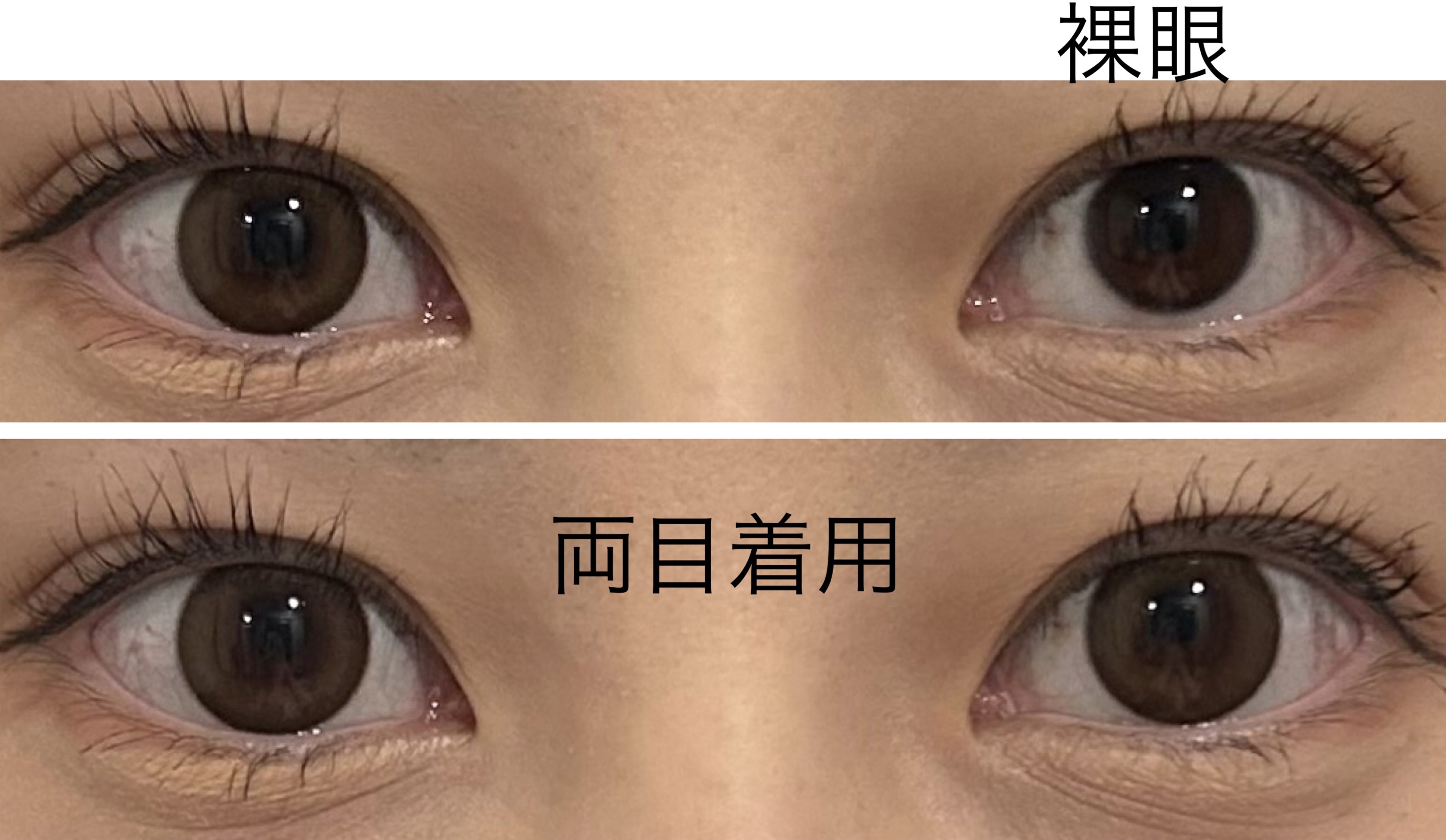 melotte 1day シークレットベア/melotte/ワンデー（１DAY）カラコンを使ったクチコミ（3枚目）