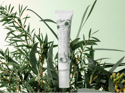 リップバームユーカリ&ティーツリー / STEAMCREAM