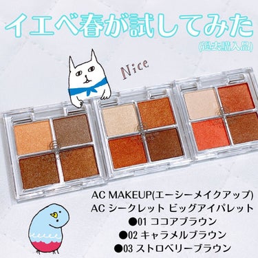 セリア AT グロッシーアイシャドウのクチコミ「AC MAKEUP(エーシーメイクアップ)
⁡
AC シークレット ビッグアイパレット
●01.....」（1枚目）