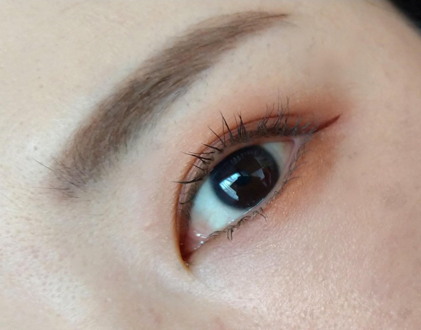 クイックラッシュカーラー/キャンメイク/マスカラ下地を使ったクチコミ(2枚目)