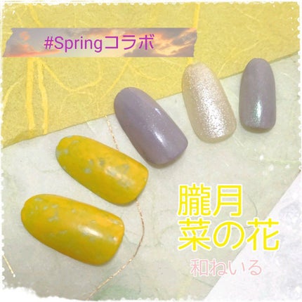 カラフルネイルズ/キャンメイク/マニキュアを使ったクチコミ(1枚目)