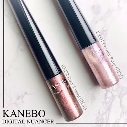 デジタルニュアンサー EXD2 Rosy Lizard/KANEBO/ジェル・クリームアイシャドウを使ったクチコミ(1枚目)