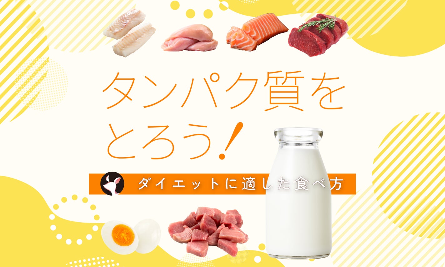 ダイエットを成功に導くタンパク質摂取方法|1日の摂取量や高タンパク質メニューを徹底解説のサムネイル