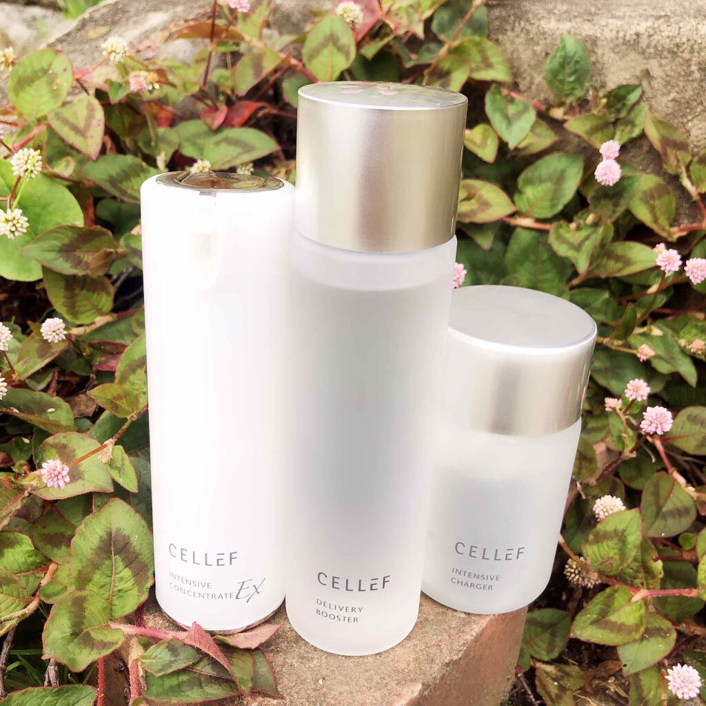 インテンシブ コンセントレートEX/セルエフ/美容液を使ったクチコミ(3枚目)