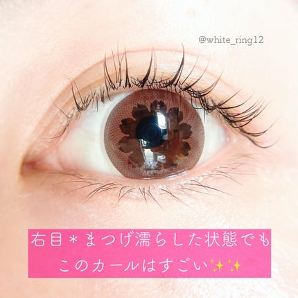 セルフまつ毛パーマキット/シルキーロールズ/その他キットセットを使ったクチコミ(6枚目)