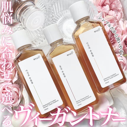 スキンケアトナー/CHAEB GONGGAN/化粧水を使ったクチコミ(1枚目)