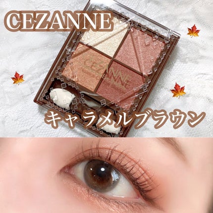 ニュアンスオンアイシャドウ 04 キャメルブラウン/CEZANNE/アイシャドウパレットを使ったクチコミ(1枚目)