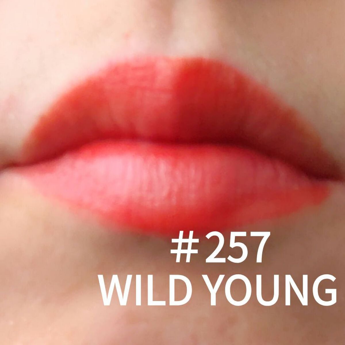 センシュアルフレッシュヌードティント/HERA/リップグロスを使ったクチコミ(3枚目)