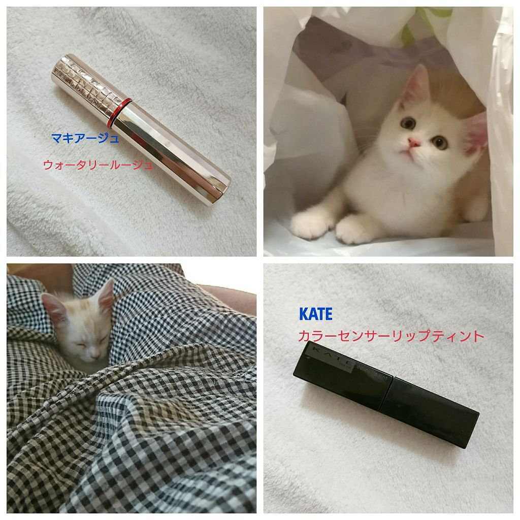 マットシフォン UVホワイトニングベースN/KiSS/化粧下地を使ったクチコミ（3枚目）