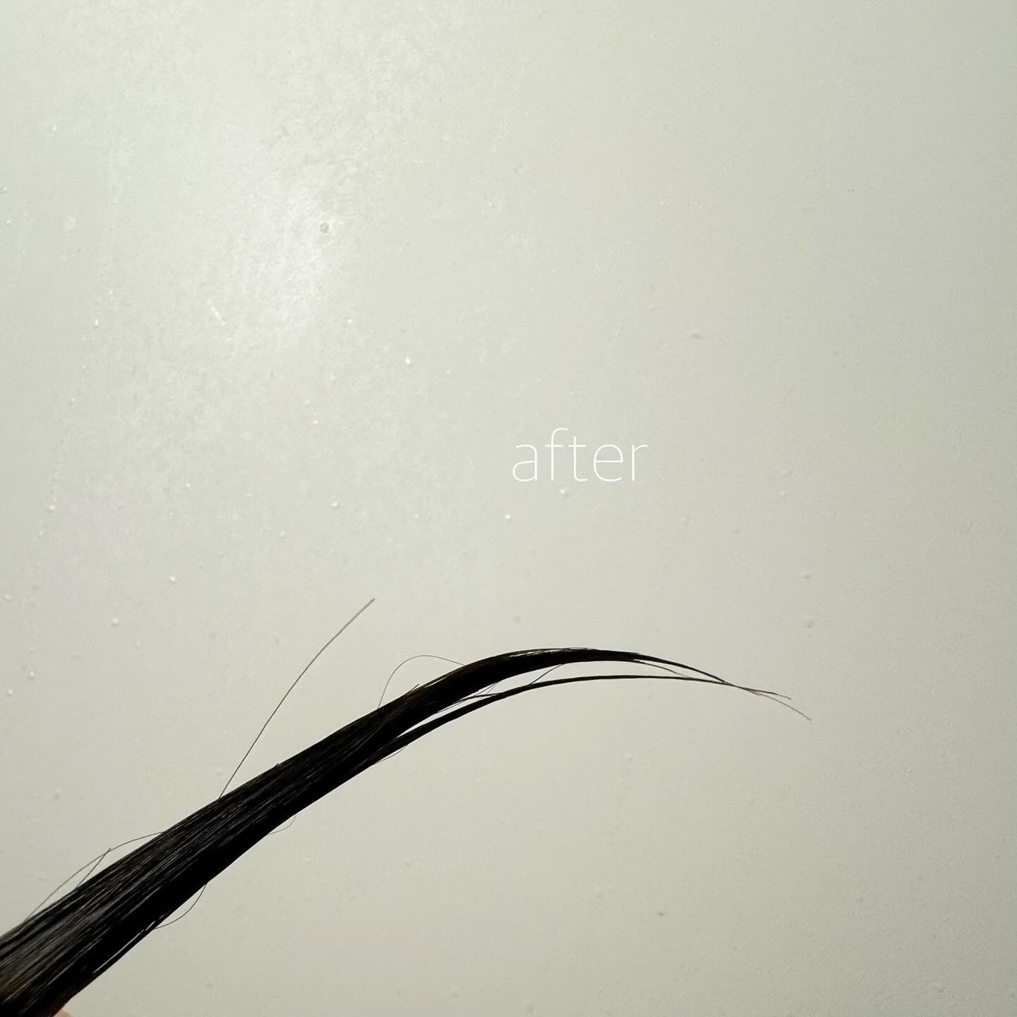 SHAMPOO & REPAIR/MEDULLA/市販シャンプーを使ったクチコミ(8枚目)