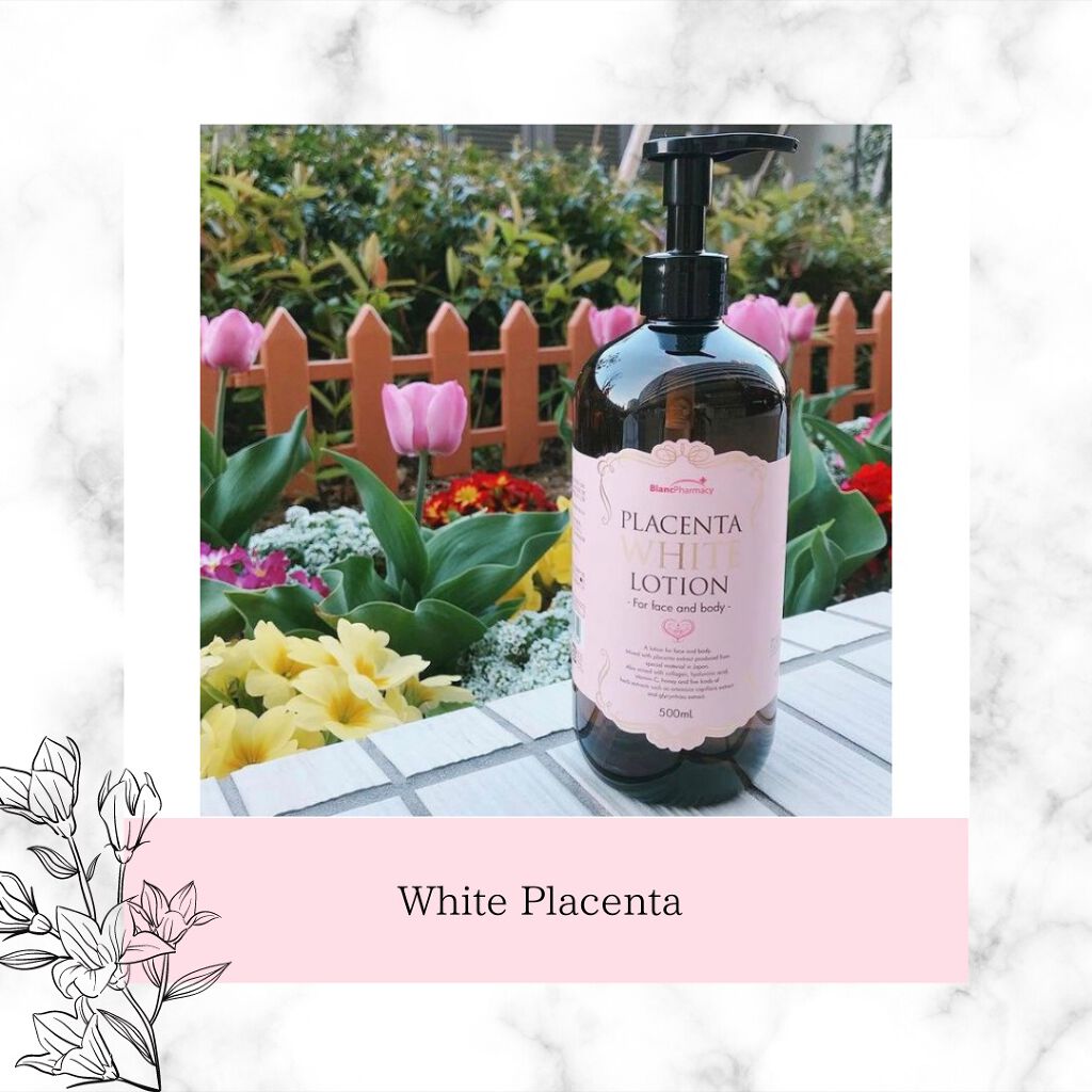 薬用プラセンタ ホワイトローション/ブラン製薬/化粧水を使ったクチコミ（1枚目）