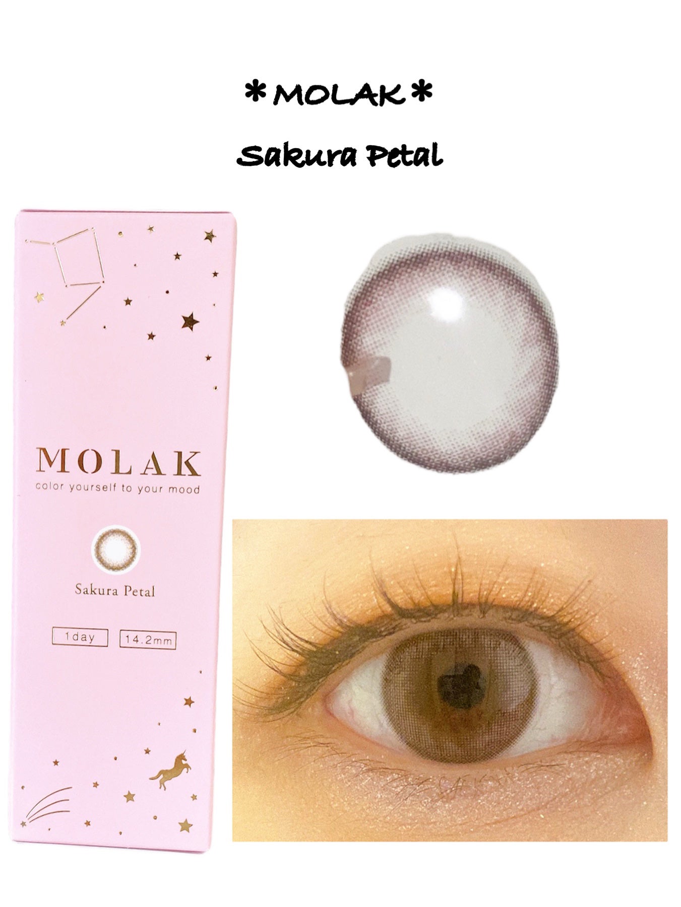 MOLAK 1day/MOLAK/ワンデー(1DAY)カラコンを使ったクチコミ(2枚目)