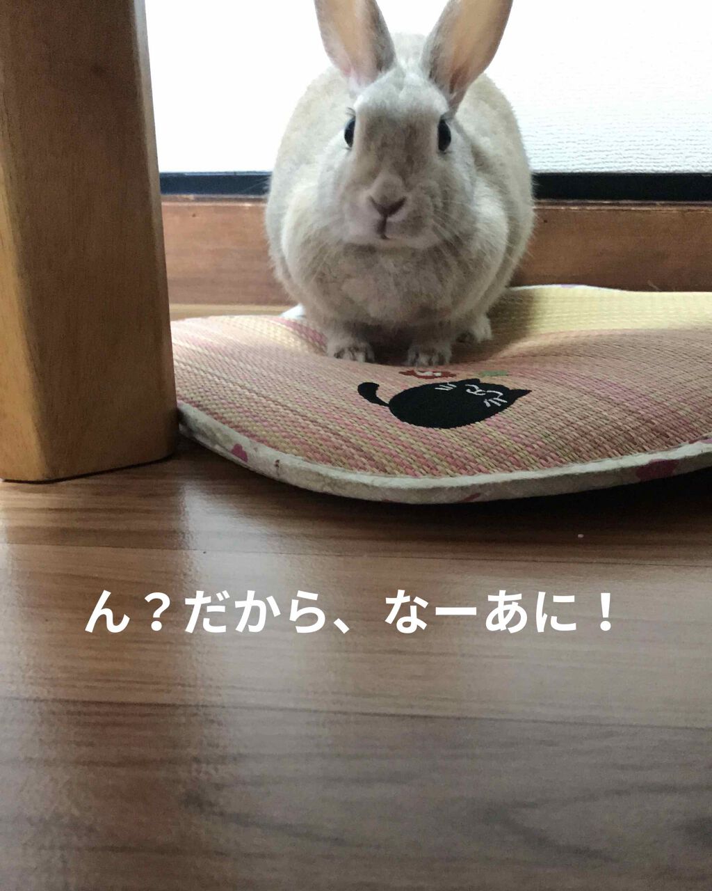 自己紹介/雑談/その他を使ったクチコミ（2枚目）