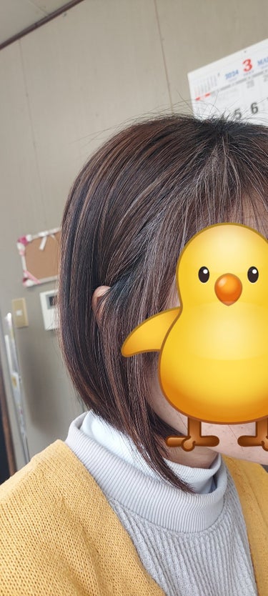 カラートリートメント アッシュブラック/サイオス/ヘアカラーの画像