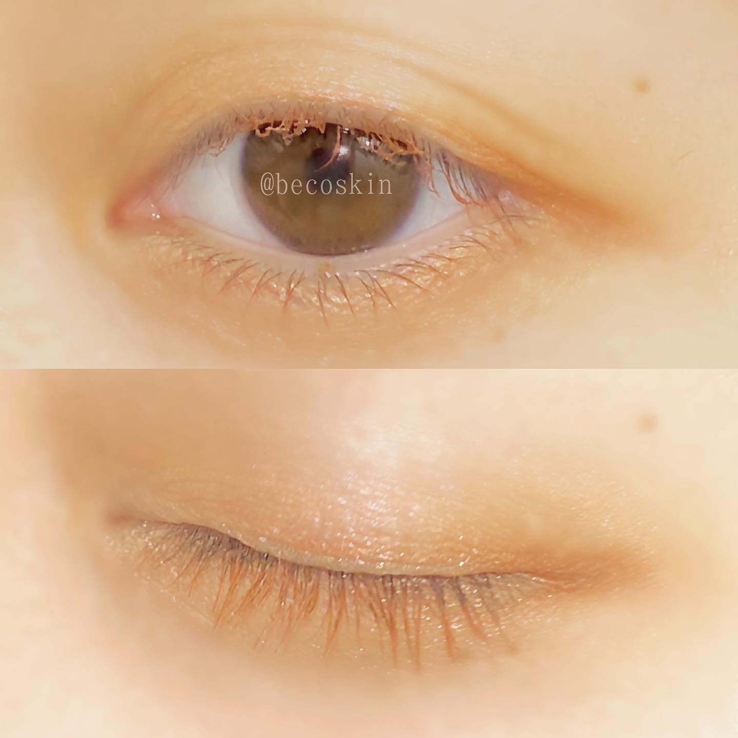 シャインユー アイシャドウパレット 02 黄昏時に煌めく木曜日/frunflynn/アイシャドウパレットを使ったクチコミ（3枚目）