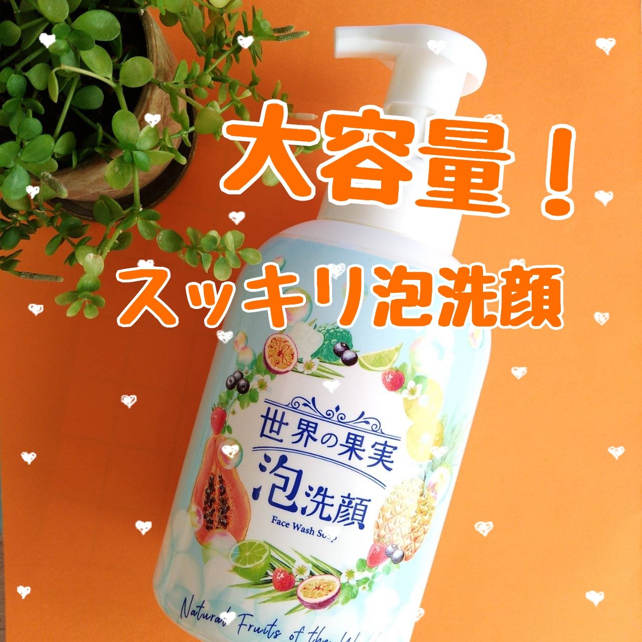 世界の果実 すっきり泡洗顔/世界の果実/泡洗顔を使ったクチコミ（1枚目）