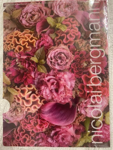 宝島社 nicolaibergmann flower box pouch bookのクチコミ「ニコライバーグマンのポーチ！昔の雑誌の付録です！

商品登録のは、ムック本です。
こちらも可愛.....」（3枚目）