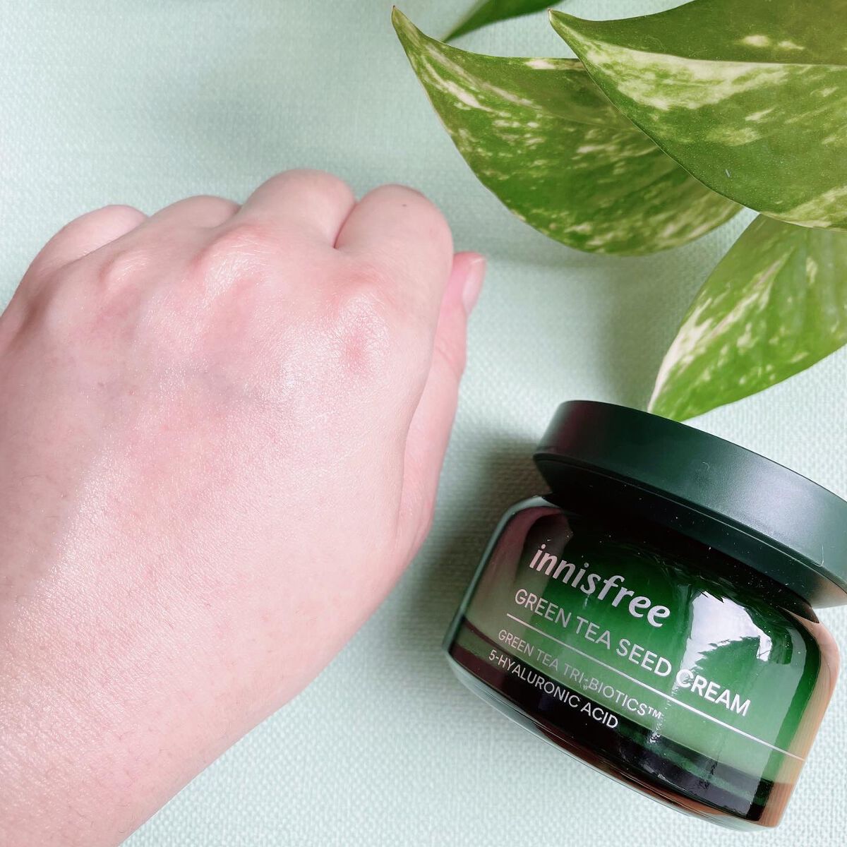 グリーンティーシード クリーム/innisfree/フェイスクリームを使ったクチコミ(5枚目)