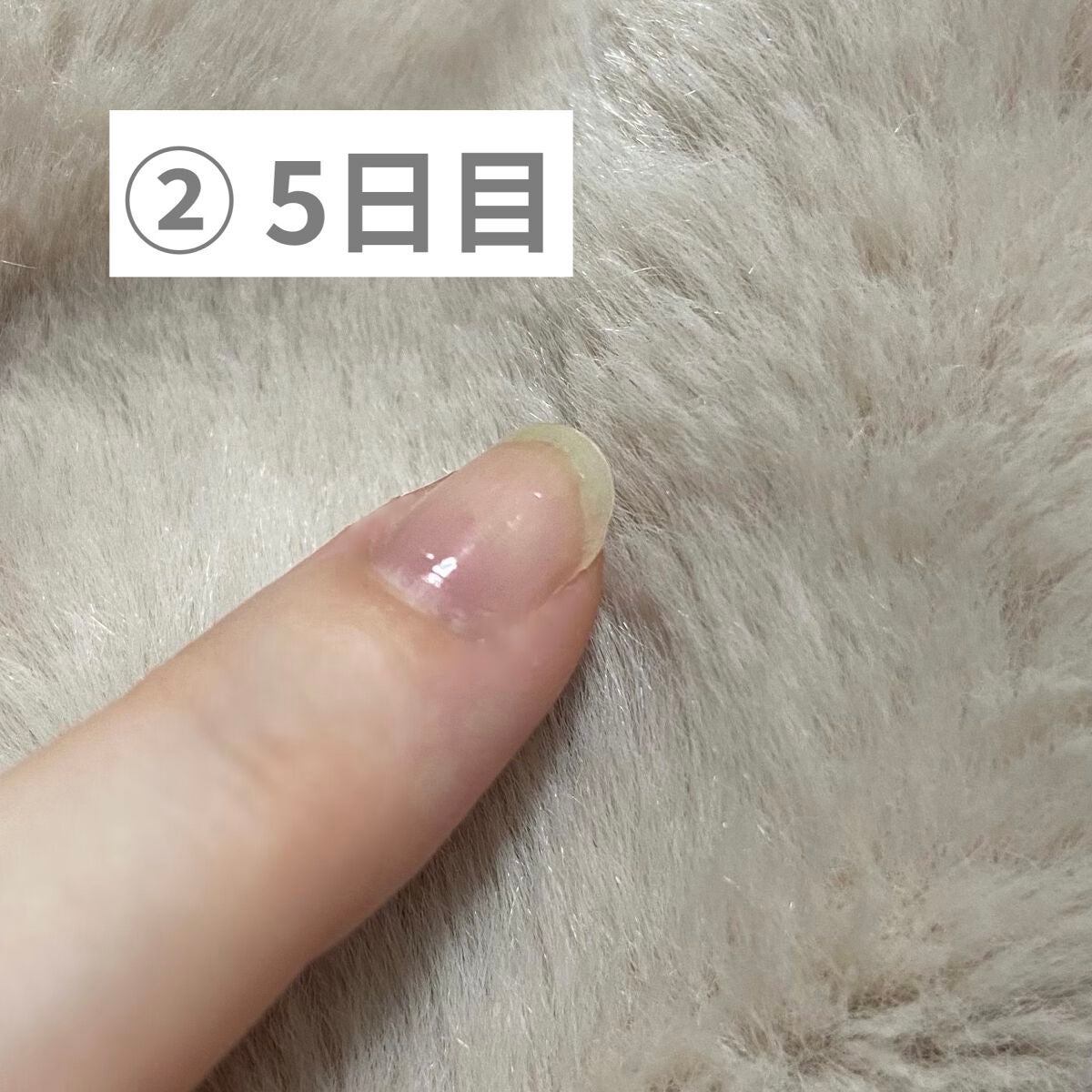 カラフルネイルズ/キャンメイク/マニキュアを使ったクチコミ(3枚目)