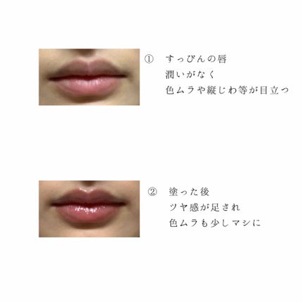 エテュセ リップエディション(プランパー)リッチスタイル/ヘルシースタイル/ettusais/リップケアを使ったクチコミ(3枚目)