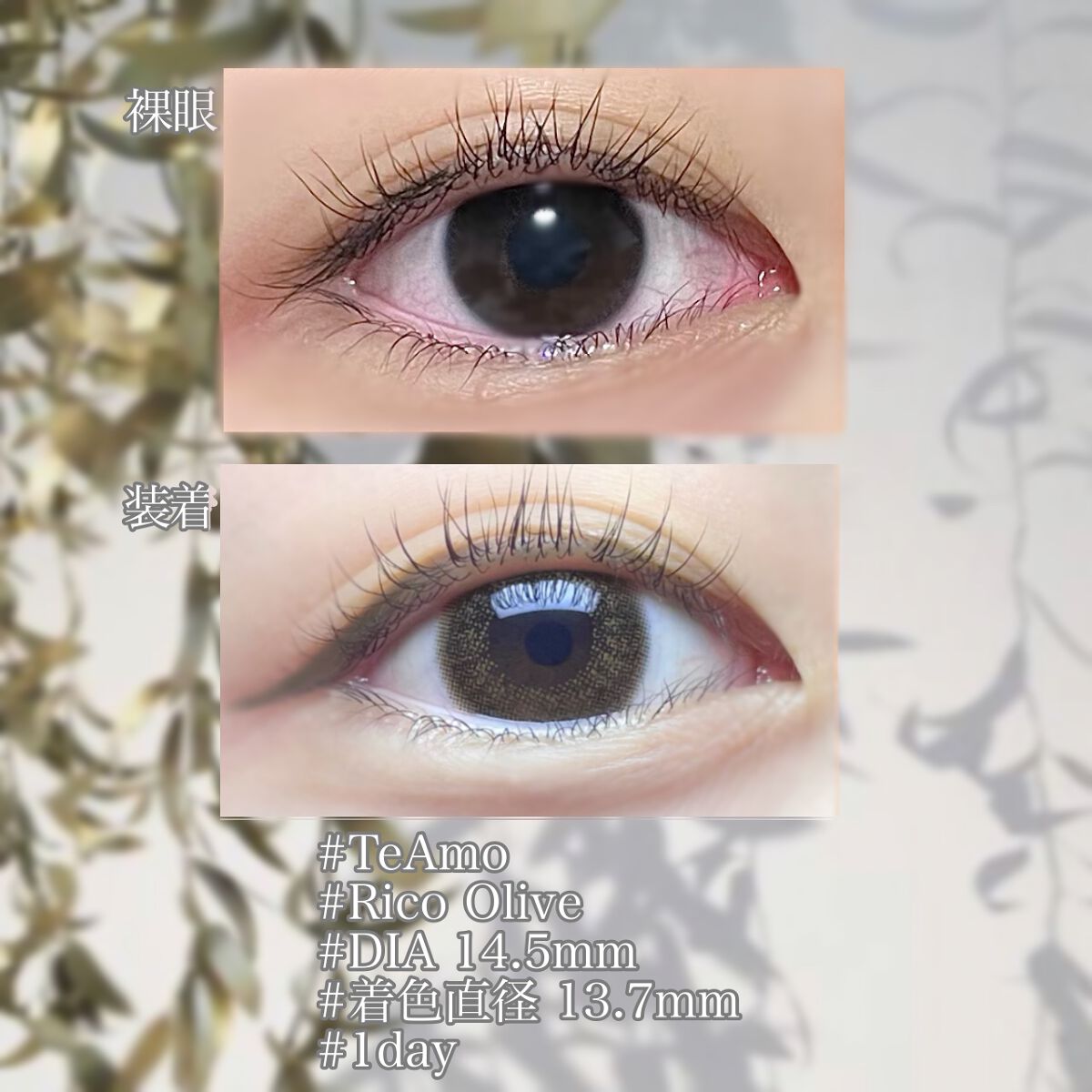 TeAmo 1DAY/TeAmo/ワンデー(1DAY)カラコンを使ったクチコミ(2枚目)