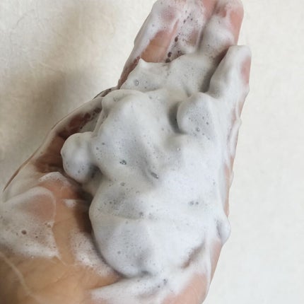 ディープクリア洗顔パウダー/ファンケル/洗顔パウダーを使ったクチコミ(2枚目)