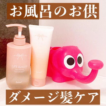 LPTケラチンリペアトリートメント/Daleaf/洗い流すヘアトリートメントを使ったクチコミ(1枚目)