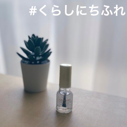 ちふれ トップ コートのクチコミ「#くらしにちふれ
ちふれ
トップ コート
🤍🌿
急にネイルがしたくなってドラッグストアに.....」(1枚目)