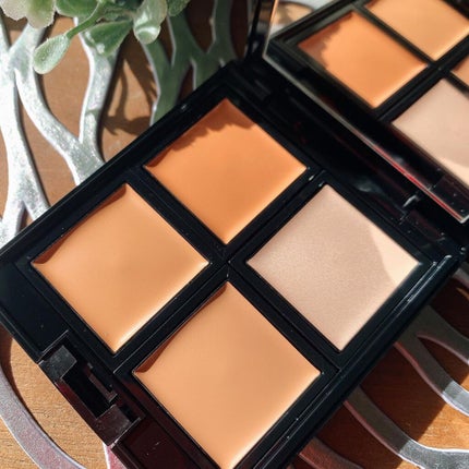 スキンリフレクト フレッシュ コンシーラー/ADDICTION/パレットコンシーラーを使ったクチコミ(3枚目)