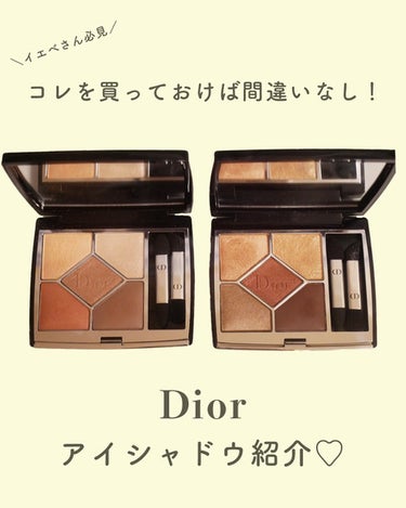 ディオールショウ サンク クルール/Dior/アイシャドウを使ったクチコミ（1枚目）