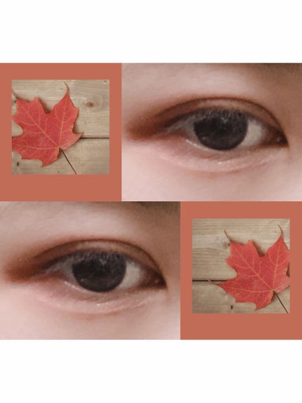 ベターザンアイズ ミュージックシリーズ/rom&nd/アイシャドウパレットを使ったクチコミ(2枚目)