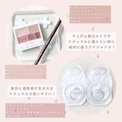 パーフェクトマルチアイズ/キャンメイク/アイシャドウパレットを使ったクチコミ(4枚目)