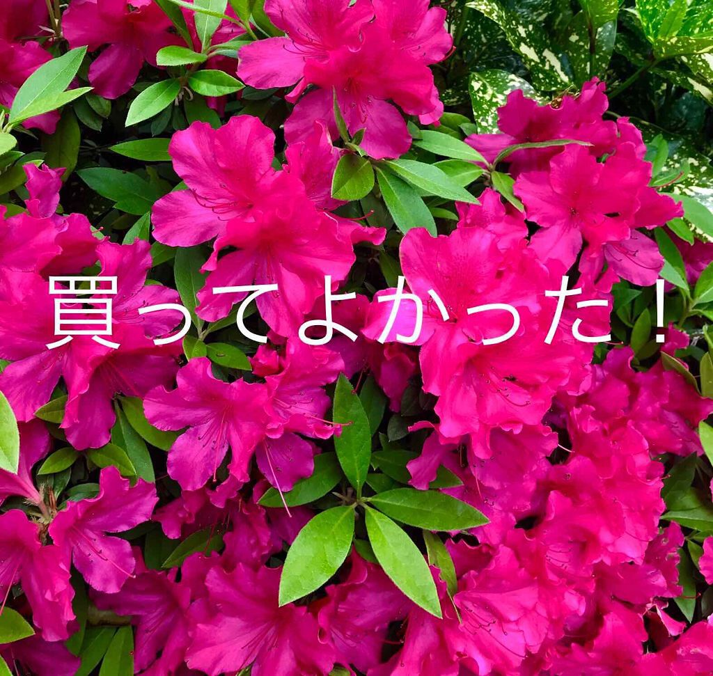 MJ-Care エッセンスマスク/MJ-Care/シートマスク・パックを使ったクチコミ(1枚目)