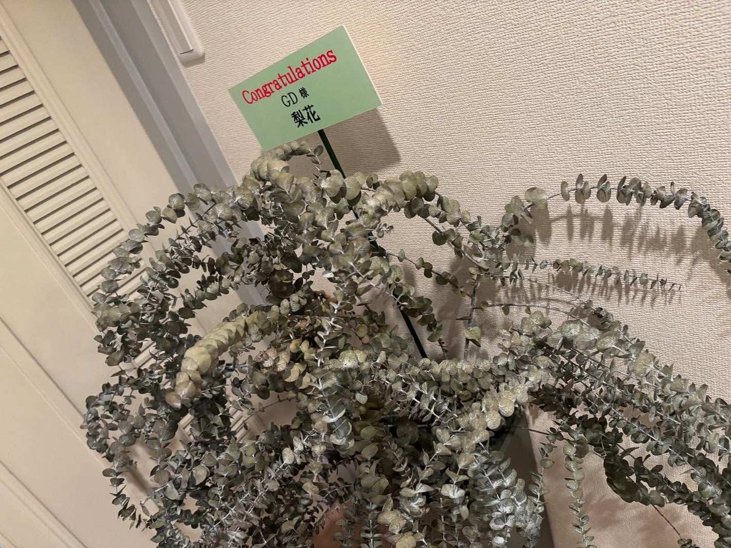 chiekotan on LIPS 「驚きと感動を頂いた美顔術、恵比寿のGDサロン@iwai7✨芸能..」(4枚目)