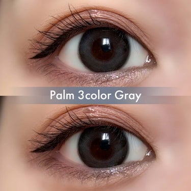 THEPIEL Palm3colorのクチコミ「


▼青みグレー×ベージュの絶妙グラデ🦋🫧
【Palm 3color / Gray】
⁡
─.....」（2枚目）