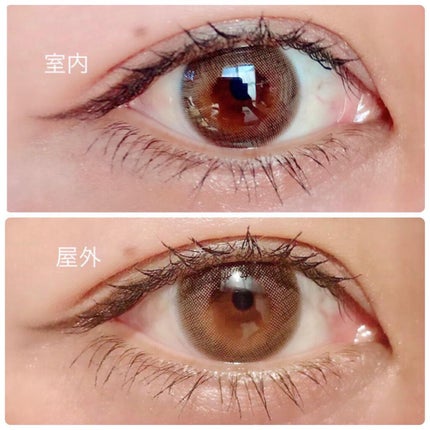 TOPARDS 1day/TOPARDS/ワンデー(1DAY)カラコンを使ったクチコミ(4枚目)