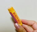 DL モイスチャーライジングリップバーム / BURT'S BEES