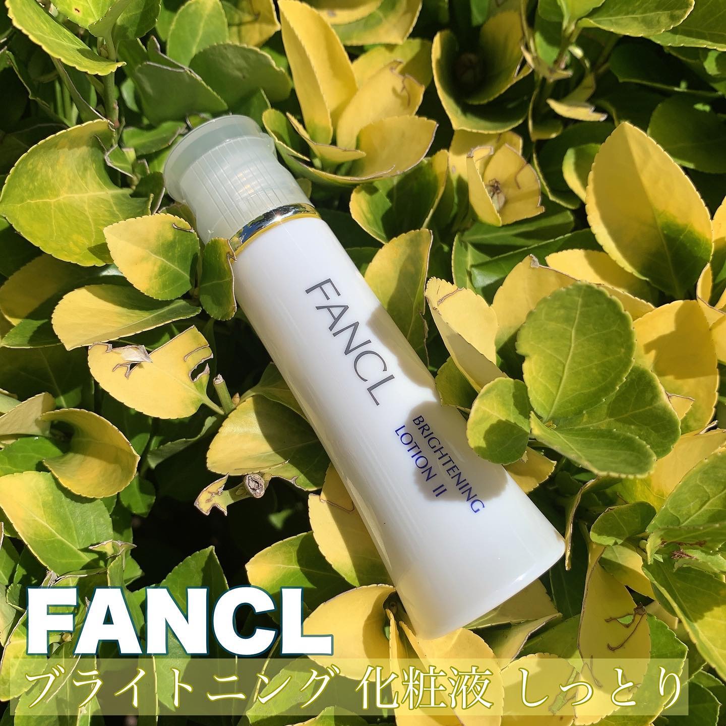 ブライトニング 化粧液 II しっとり＜医薬部外品＞/ファンケル/化粧水を使ったクチコミ（1枚目）