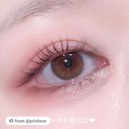 エクスプローラ12色 動物アイシャドウパレット/PERFECT DIARY/アイシャドウパレットを使ったクチコミ(6枚目)