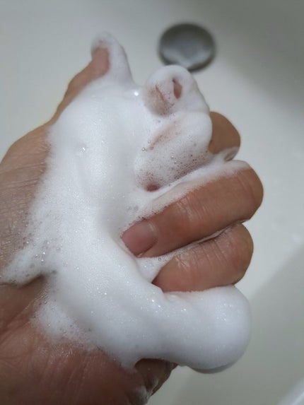 バリアダーム マイルドクレンザー/SKIN&LAB/洗顔フォームを使ったクチコミ(2枚目)