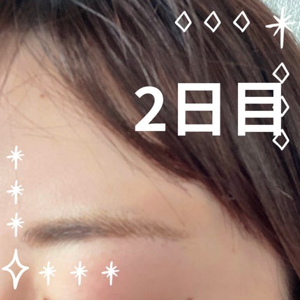 眉ティントSVR/Fujiko/眉ティントを使ったクチコミ(4枚目)