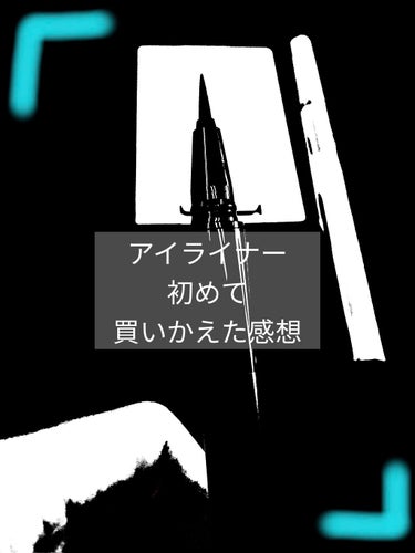 ラブ・ライナー リキッドアイライナーＲ３/ラブ・ライナー/リキッドアイライナーを使ったクチコミ（1枚目）