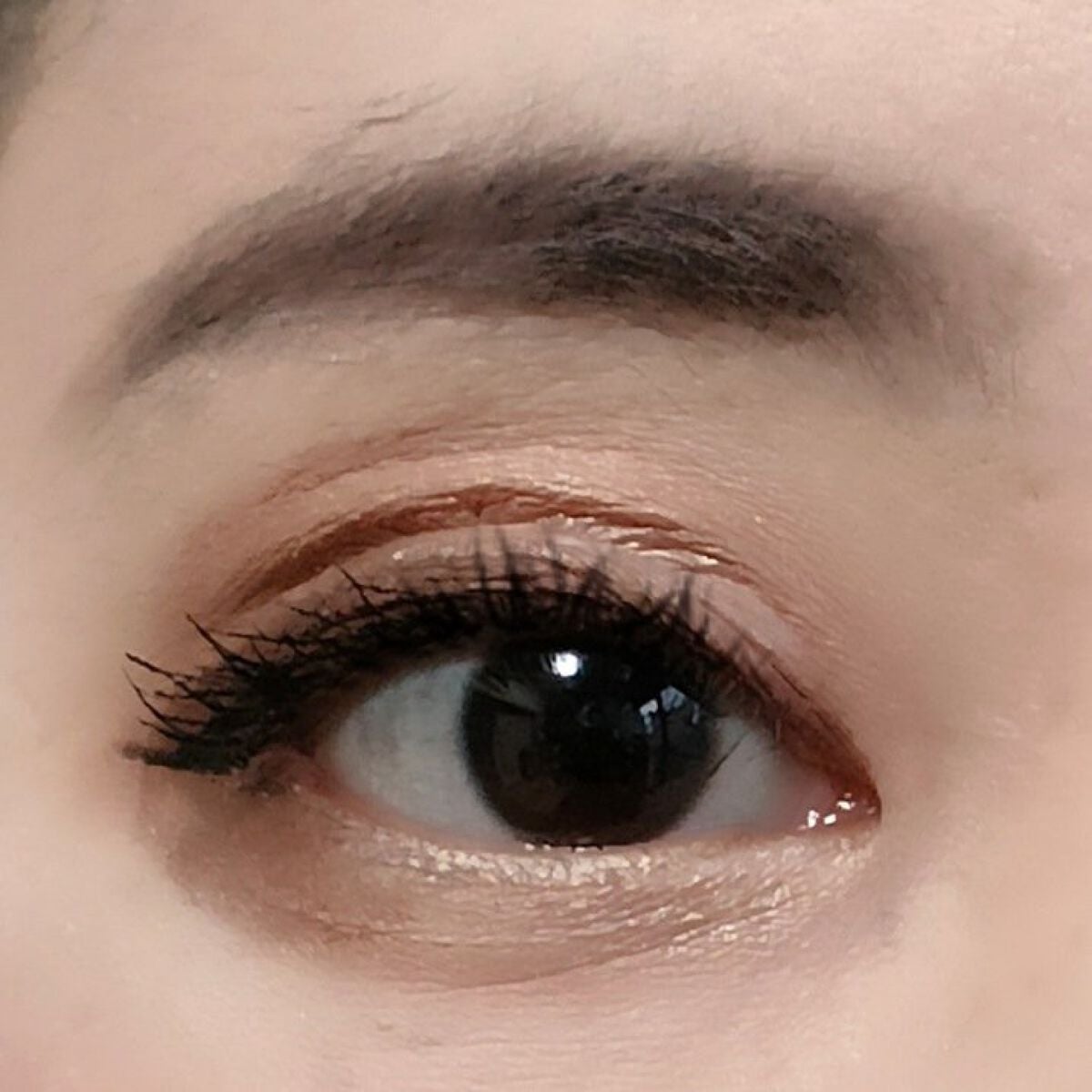 ノーズ&アイブロウパウダー/CEZANNE/パウダーアイブロウを使ったクチコミ(6枚目)