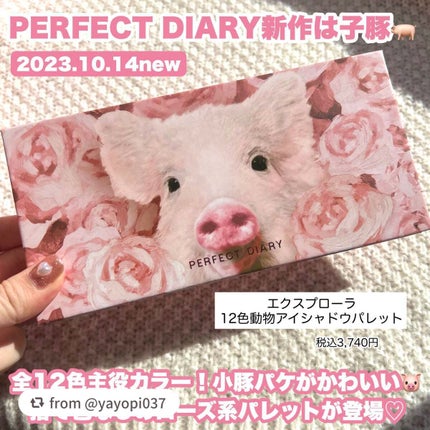 エクスプローラ12色 動物アイシャドウパレット/PERFECT DIARY/アイシャドウパレットを使ったクチコミ(2枚目)